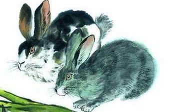 属兔人的性格和爱情观 属兔人哪天出生最好命