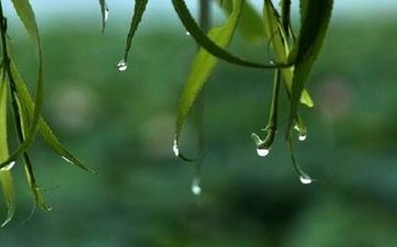 关于雨水节气的说法，这些风俗你都知道吗？