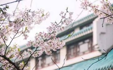 “幸福的象征”京族花棍舞文化